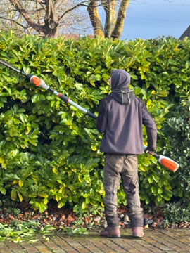 hedge work