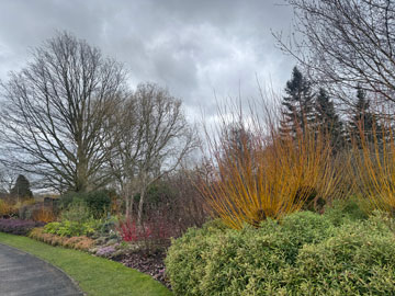 Harlow Carr