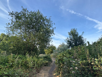 pathway
