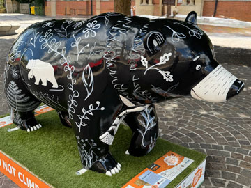 bear