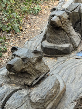 bears