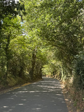 lane