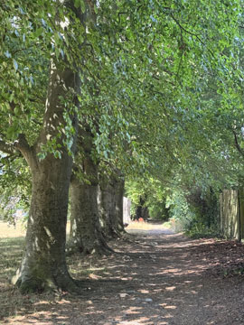 park