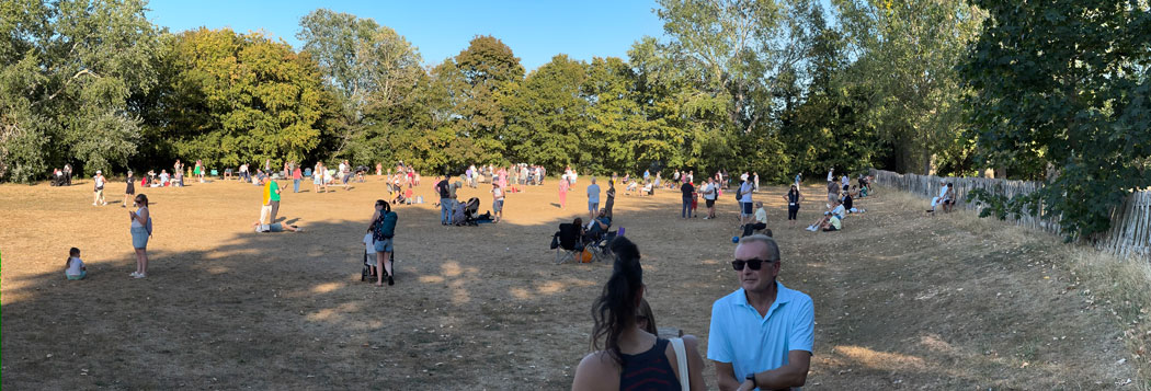 crowd