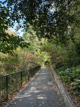 park
