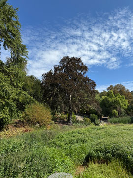 park