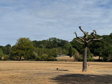park