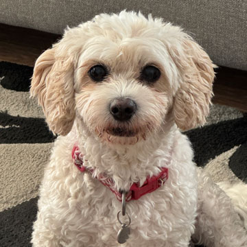 Mia