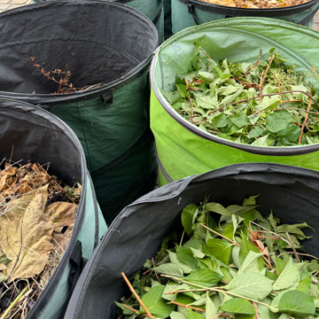 garden rubbish