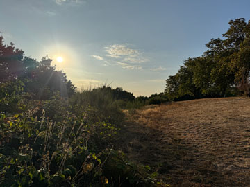 park