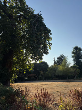 park