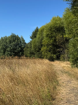park