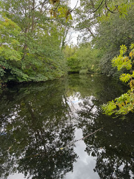pond