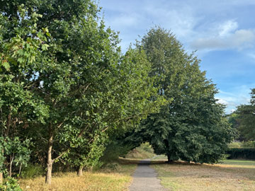park