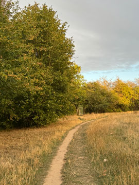 park
