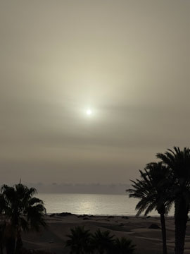 dawn