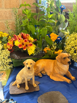 guide dogs