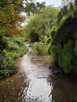 river cray
