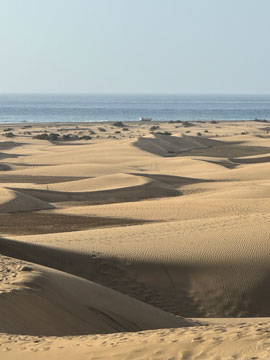 dunes