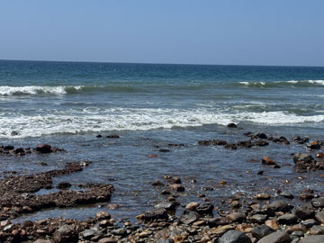 sea