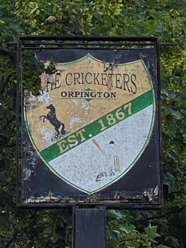 cricketers