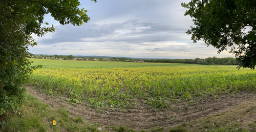panorama