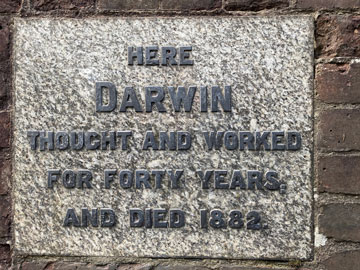 darwin plaque