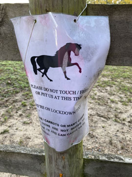 horse lockdown