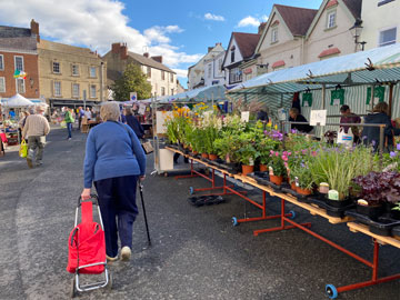 mum at market