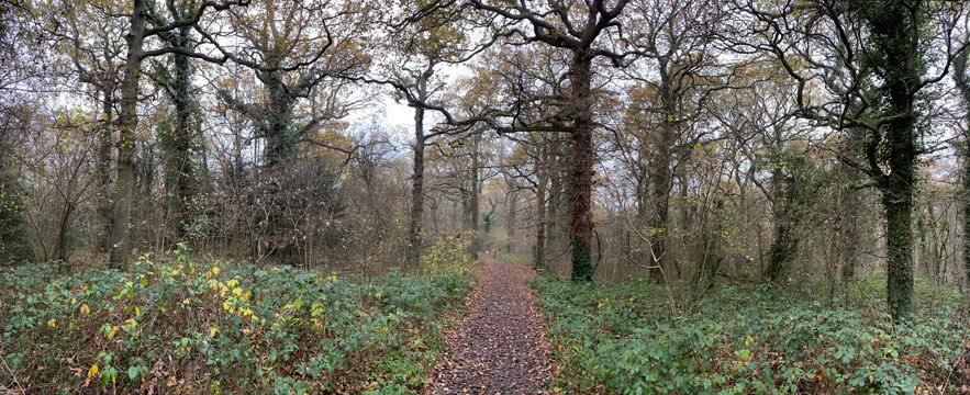 jubilee country park