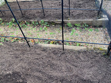 veg beds