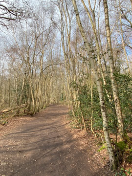 petts wood