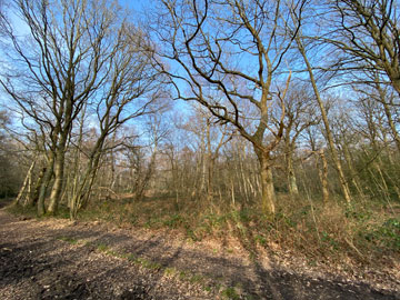 Petts Wood