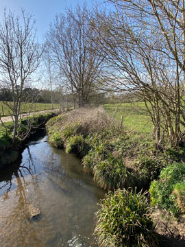 kyd brook