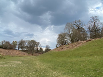 Knole Park