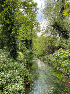 river cray