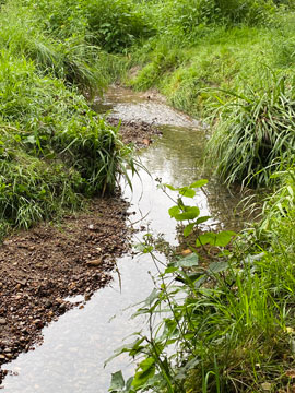 Kyd Brook