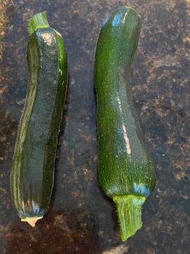 courgette
