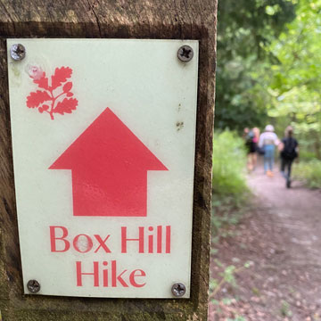 Box Hill