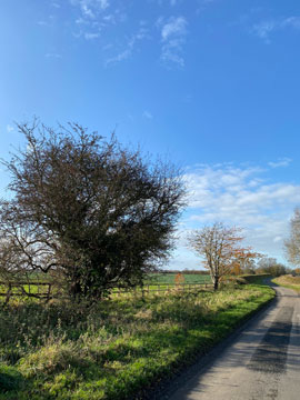 country lane