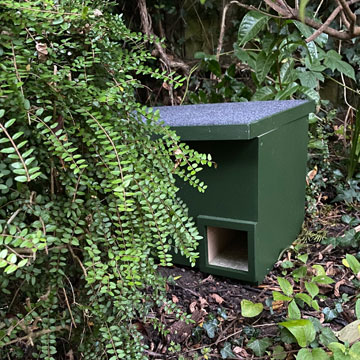 hedgehog house