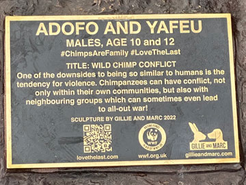 plaque
