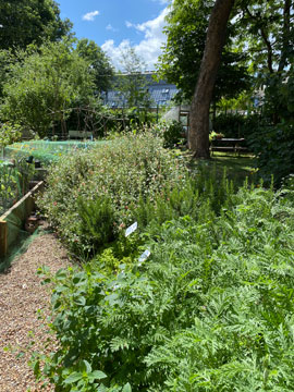Clissold Comm Garden