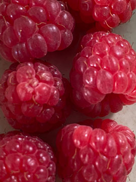 raspberries