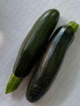 courgettes