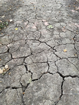 cracked ground