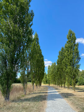 richmal crompton park