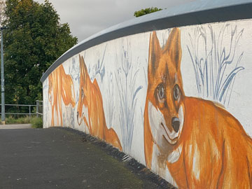 fox bridge