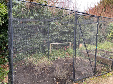 fruit cage