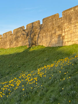 city walls